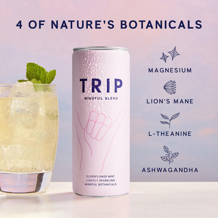 TRIP Mindful Blend, Lightly Sparkling Adaptogen Seltzer, Non-Alcoholic Mocktail with Magnesium, Ashwagandha, Lions Mane & L Theanine, No Added Sugar, Vegan, Original Variety Pack, 12 Oz, 12Pk