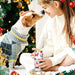 16 Pieces Christmas Beer Can Sleeves Cooling Insulated Beer Cup Sleeves Santa Claus Elk Snowman Stocking Can Cooler Sleeves Reusable Drink Sleeves Christmas Slim Can Cover for Christmas Tools Supplies - The Beer Connoisseur® Store