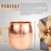 Advanced Mixology [Gift Set] Authentic Moscow Mule Mugs Set of 2 (16oz) | Solid Barrel 100% Copper Mugs Set w/ 2 Straws, 2 Wooden Coasters & 1 Shot Glass | Tarnish-Resistant Food Grade Lacquer Coat - The Beer Connoisseur® Store