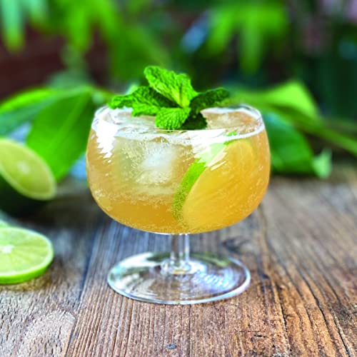 Advanced Mixology Moscow Mule Cocktail Infusion (2 pk) | Alcohol Infusion Kit for Island Moscow Mule and Orchard Moscow Mule | Alcohol Gifts for him - The Beer Connoisseur® Store