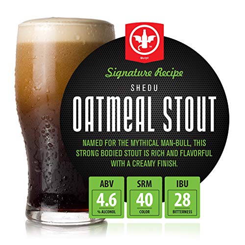 BrewDemon Craft Beer Kit with Bottles - Conical Fermenter Eliminates Sediment and Makes Great Tasting Home Made Beer - 1 gallon pilsner, stout, and IPA - The Beer Connoisseur® Store
