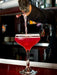 Daniel’s Broiler, Lavender Martini Cocktail Mixer, Straight from our Steakhouse, Just Add Spirits & Garnish, Small Batch Craft Cocktails made with Lavender, Lemon, Cranberry & Organic Sugar (375 ml) - The Beer Connoisseur® Store