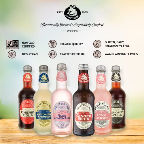 Fentimans Curiosity Cola - Healthy Soda, All Natural Soda, Botanically Brewed, No Artificial Flavors, Preservatives, or Sweeteners, Craft Soda - Curiosity Cola, 9.3 Ounce (Pack of 24) - The Beer Connoisseur® Store