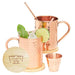 [Gift Set] Advanced Mixology Moscow Mule Mugs Set of 2 (16oz) | 100% Copper Mugs Set w/ 2 Straws, 2 Wooden Coasters & 1 Shot Glass | Tarnish-Resistant Food Grade Lacquer Coat - The Beer Connoisseur® Store