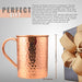 [Gift Set] Advanced Mixology Moscow Mule Mugs Set of 2 (16oz) | 100% Copper Mugs Set w/ 2 Straws, 2 Wooden Coasters & 1 Shot Glass | Tarnish-Resistant Food Grade Lacquer Coat - The Beer Connoisseur® Store