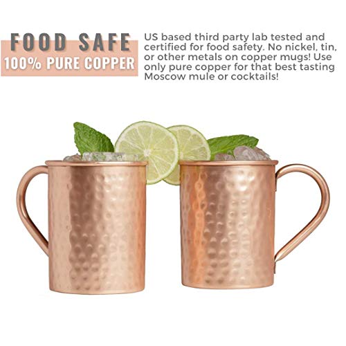 [Gift Set] Advanced Mixology Moscow Mule Mugs Set of 2 (16oz) | 100% Copper Mugs Set w/ 2 Straws, 2 Wooden Coasters & 1 Shot Glass | Tarnish-Resistant Food Grade Lacquer Coat - The Beer Connoisseur® Store