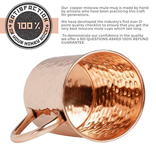 [Gift Set] Advanced Mixology Moscow Mule Mugs Set of 2 (16oz) | 100% Copper Mugs Set w/ 2 Straws, 2 Wooden Coasters & 1 Shot Glass | Tarnish-Resistant Food Grade Lacquer Coat - The Beer Connoisseur® Store