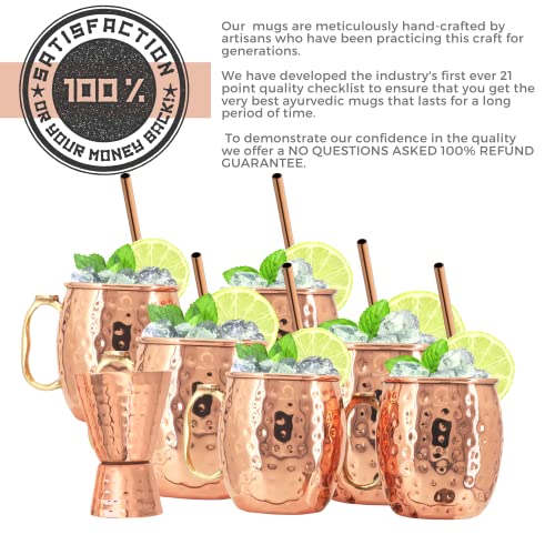 [Gift Set] Kitchen Science Moscow Mule Mugs, Stainless Steel Lined Copper Moscow Mule Cups Set of 6 (18oz) w/ Straws, Jigger, Spoon & Brush | Tarnish-Resistant Stainless Steel Interior - The Beer Connoisseur® Store