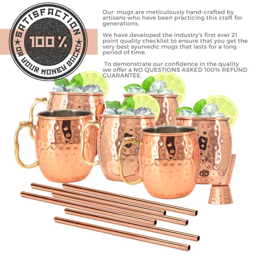 [Gift Set] Kitchen Science Moscow Mule Mugs, Stainless Steel Lined Copper Moscow Mule Cups Set of 6 (18oz) w/ Straws, Jigger, Spoon & Brush | Tarnish-Resistant Stainless Steel Interior - The Beer Connoisseur® Store