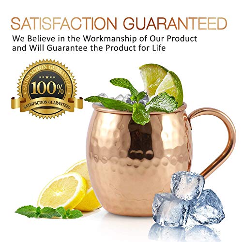 [Gift Set] Mule Science Moscow Mule Mugs Set of 4 | 100% Handcrafted | Food Safe | Copper Mugs with Bonus Accessories | Tarnish Resistant Copper Cups | 16 oz. - The Beer Connoisseur® Store