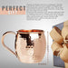 [Gift Set] Mule Science Moscow Mule Mugs Set of 8 (16oz) | Solid Barrel 100% Copper Mugs Set w/ 8 Straws, 8 Coasters & 1 Shot Glass | Handcrafted Tarnish-Resistant Food Grade Lacquer Coat - The Beer Connoisseur® Store