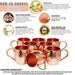 [Gift Set] Mule Science Moscow Mule Mugs Set of 8 (16oz) | Solid Barrel 100% Copper Mugs Set w/ 8 Straws, 8 Coasters & 1 Shot Glass | Handcrafted Tarnish-Resistant Food Grade Lacquer Coat - The Beer Connoisseur® Store