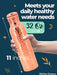 Kitchen Science Copper Water Bottle (32oz/950ml) w/ Copper Tumbler, Carrying Bag & Deco Sleeve | Pure Copper Bottle for Drinking Water | Lab-Tested, Leak-Proof | Authentic Ayurvedic Copper Bottle - The Beer Connoisseur® Store