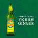 Reed's, Original Ginger Beer, Great Tasting All Natural Craft Ginger Beer with Fresh Ginger Root (12OZ Bottle) - The Beer Connoisseur® Store