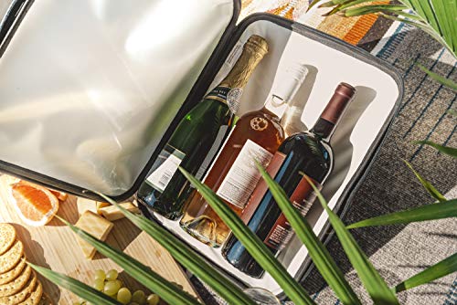 StowCo Small Portable Cooler Bag. Beach Supplies. Beer Bag Bottle Holder. Golf Beer Cooler. Insulated Small Cooler. Travel Cooler. Slim Iceless Cooler. - The Beer Connoisseur® Store