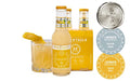**The Official Cocktails of Dry January** - Mocktails Uniquely Crafted Alcohol Free Variety Pack | Non-Alcoholic Cocktail, Low Calorie, Non-GMO, Vegan Alternative | 6.8 Fluid Ounce (Pack of 12) - The Beer Connoisseur® Store