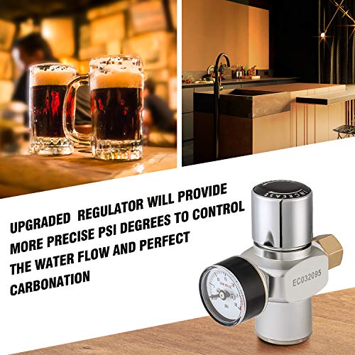 TMCRAFT 170oz Mini Keg Growler, Pressurized Stainless Steel Home Keg Kit System with Adjustable Faucet Keeps Fresh and Carbonation for Homebrew, Craft and Draft Beer - The Beer Connoisseur® Store