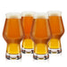 True IPA Glasses, Beer Pint Glasses, Craft Beer Glassware, IPA Glass Set, Set of 4, 16 Ounce Capacity, for Stouts, Pilsners, IPAs - The Beer Connoisseur® Store