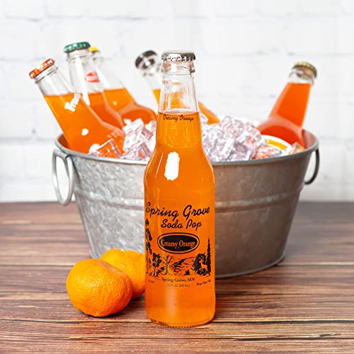 Ultimate Craft Soda Beverage Samplers - Mix Variety Case - Gourmet Sodas from All Around the Country - Choose Your Flavor - 12oz (Orange Soda - 12 Pack) - The Beer Connoisseur® Store