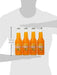 WBC/Goose Island Craft Soda Orange Cream, 12 Ounce (Pack of 4) - The Beer Connoisseur® Store