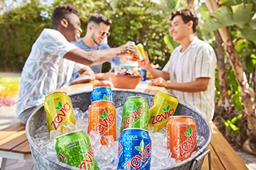 Zevia Zero Calorie Soda, Rainbow Variety Pack, 12 Ounce Cans (Pack of 24) - The Beer Connoisseur® Store